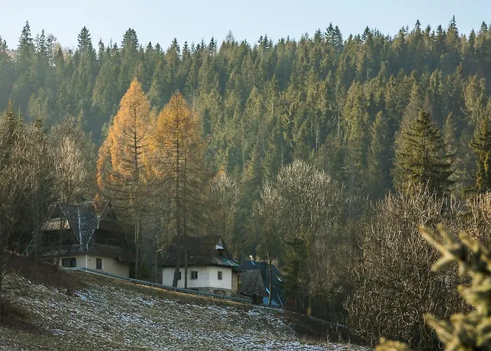 Rent Like - Ciaglowka *