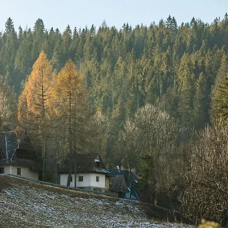 Rent Like - Ciaglowka *