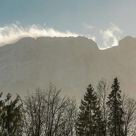 Rent Like - Ciągłówka